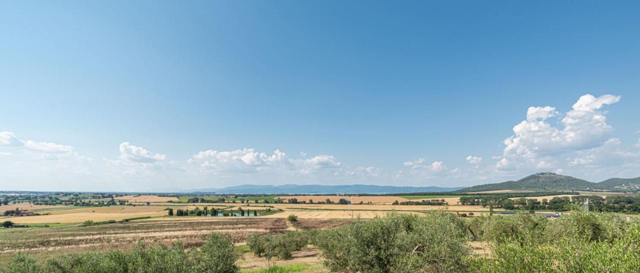 Ferienwohnung Casolare Marconi Panicale Exterior foto
