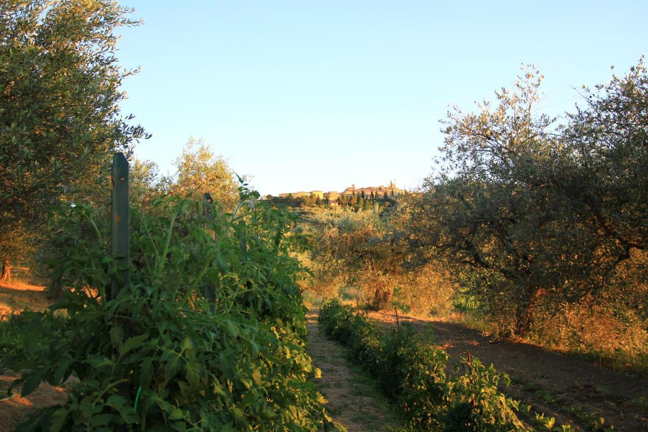 Ferienwohnung Casolare Marconi Panicale Exterior foto