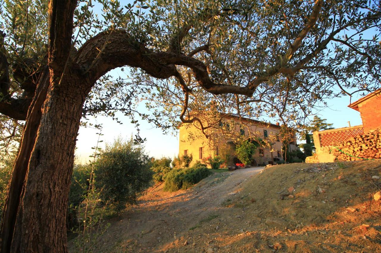 Ferienwohnung Casolare Marconi Panicale Exterior foto
